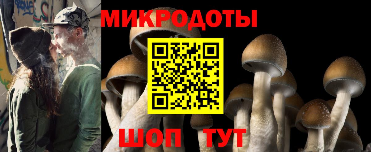 Галлюциногенные грибы Psilocybine cubensis Туймазы